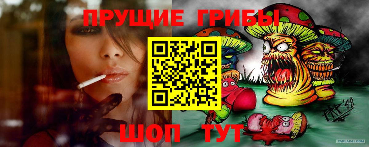 где найти   Вход с VPN  Уссурийск  Галлюциногенные грибы Psilocybine cubensis  Галлюциногенные грибы GOLDEN TEACHER 