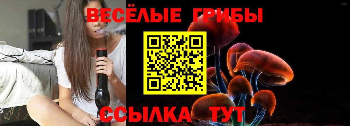Псилоцибиновые грибы Psilocybe Уссурийск